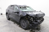 VW Tiguan (1)