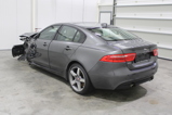 JAGUAR XE (3)