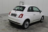 FIAT 500 (2)